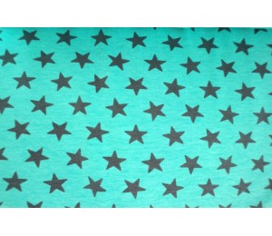 Jersey Rollin Stars dunkelgrau auf dunkelmint